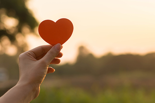 Hand holding a heart